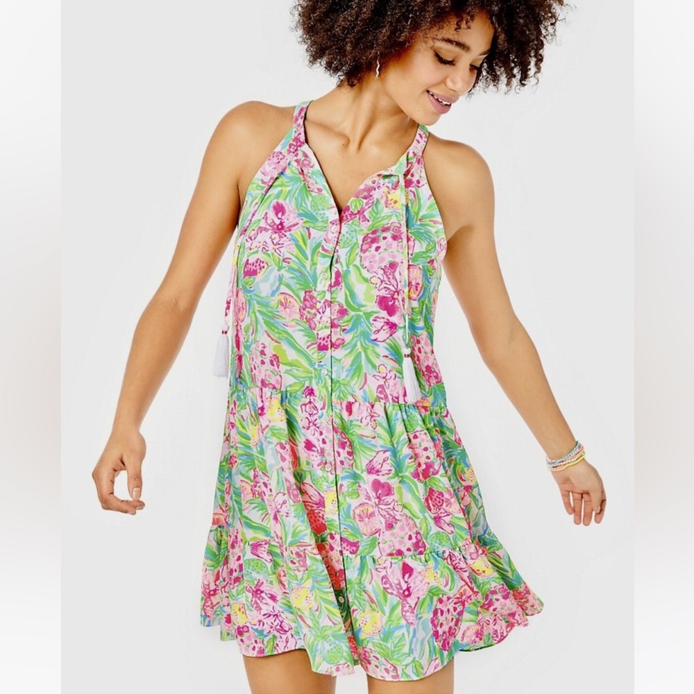 Lilly Pulitzer Carolane dress